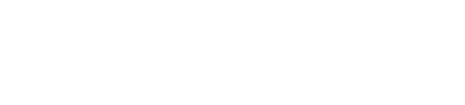 Straub Consulting logo